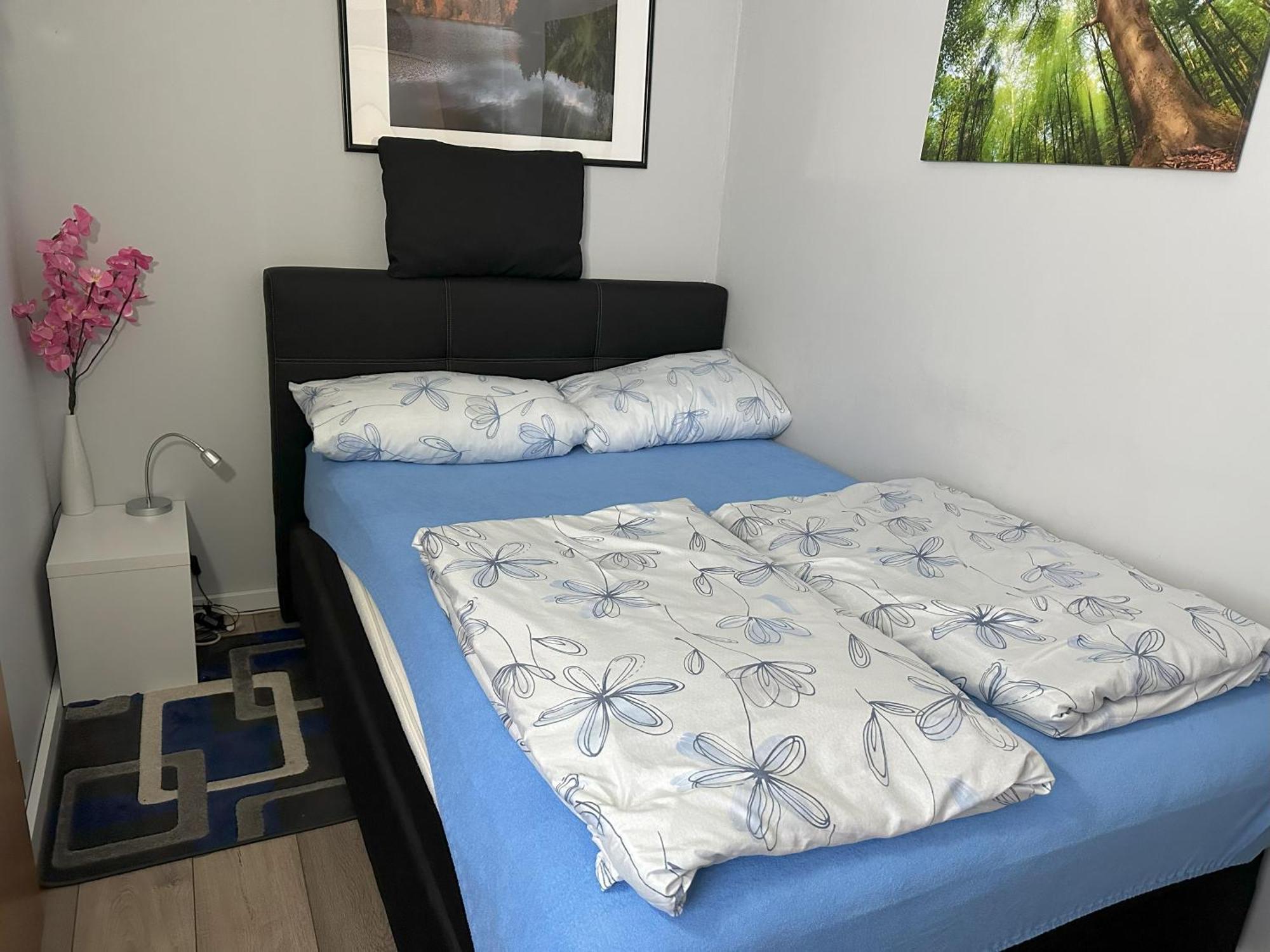 Moderne Und Komfortable Im Hahnenklee *