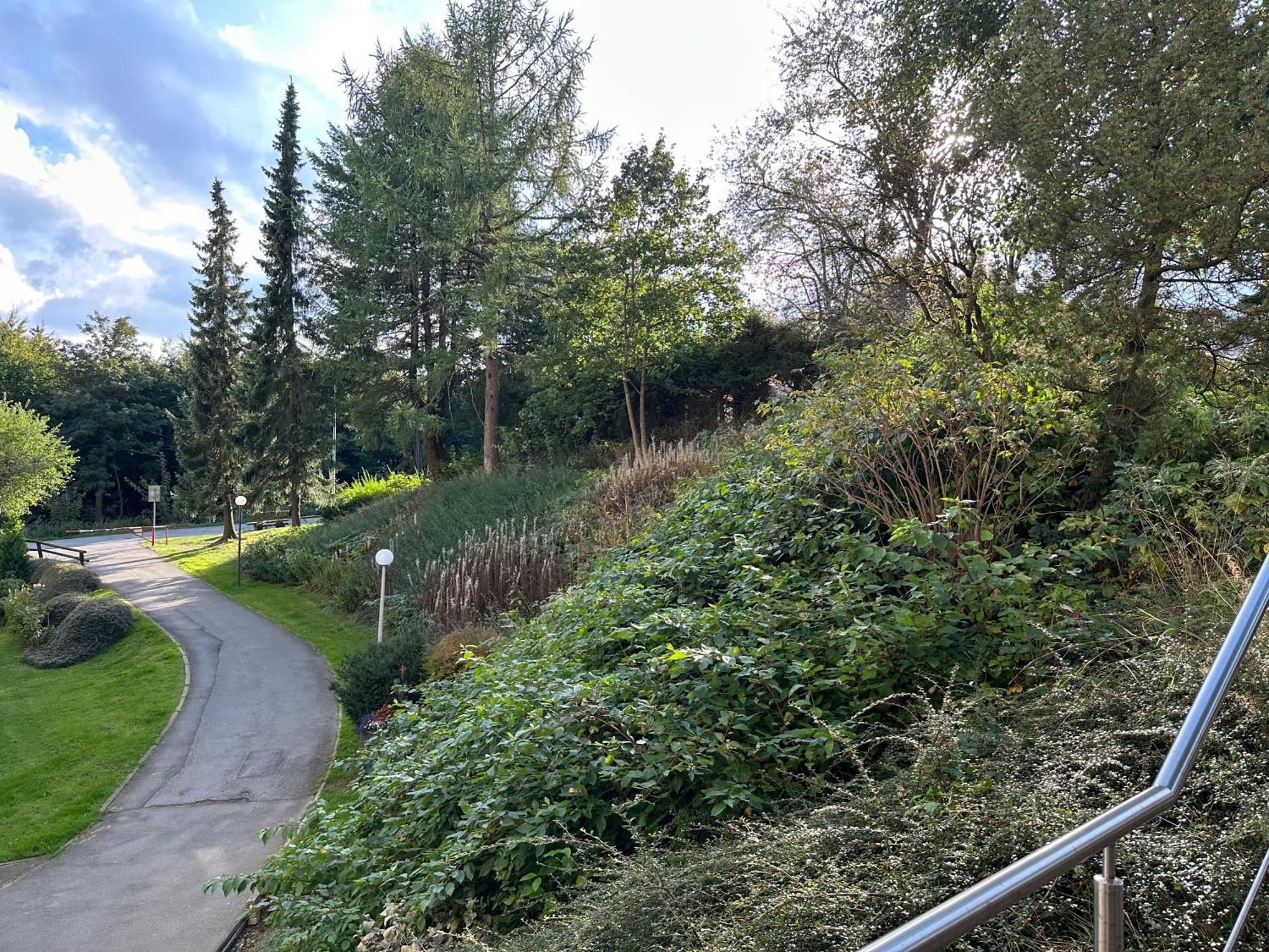 Moderne Und Komfortable Im Hahnenklee Goslar