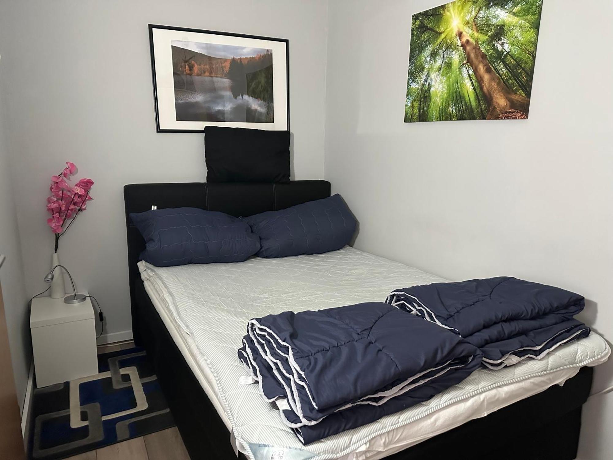 Apartment Moderne Und Komfortable Im Hahnenklee